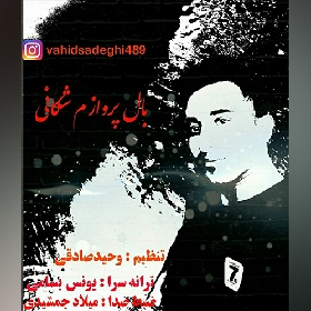 وحید صادقی بال پروازم شکانی